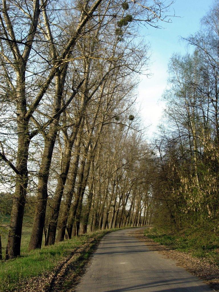 Мала Бушинка з panoramio.com - Мала Бушинка