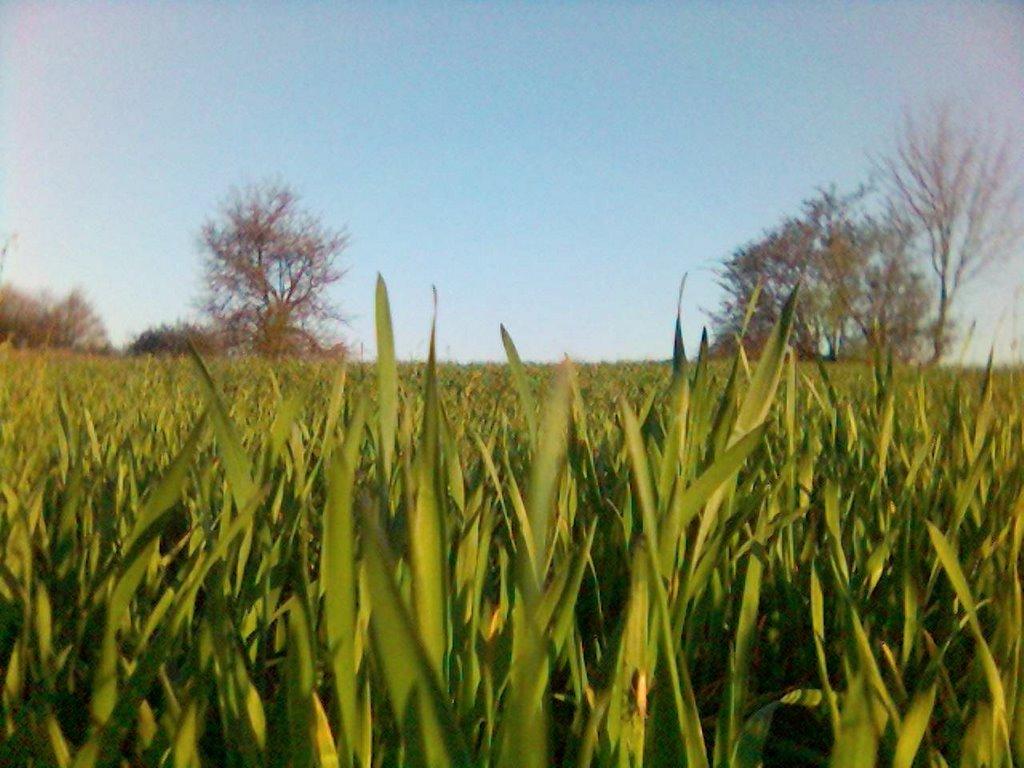 Ярмолинці з panoramio.com - Ярмолинцы