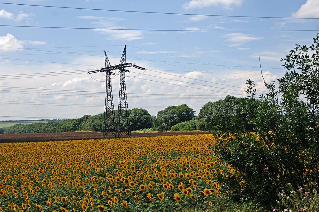 Максимільянівка з panoramio.com - Максимільянівка