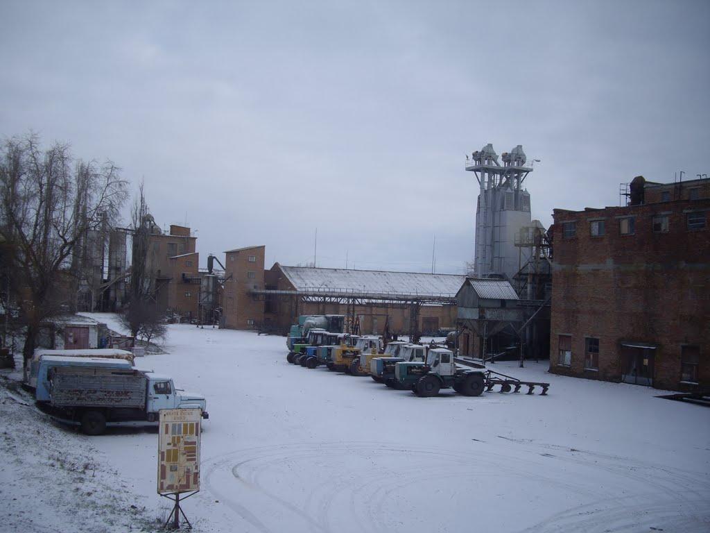 Кавуни з panoramio.com - Кавуни