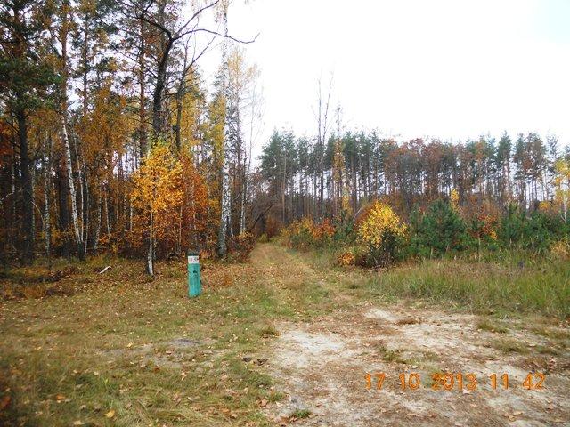 Бондарня з panoramio.com - Бондарня