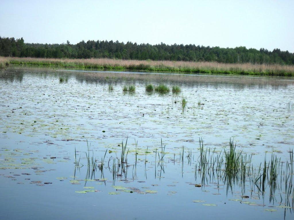 Страшеве з panoramio.com - Страшеве