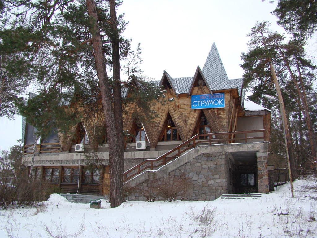 Козин з panoramio.com - Козин