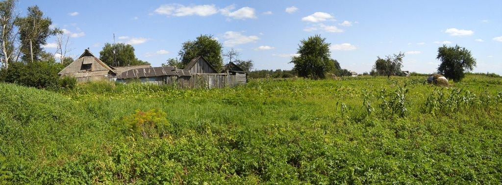Чернацьке з panoramio.com - Чернацкое