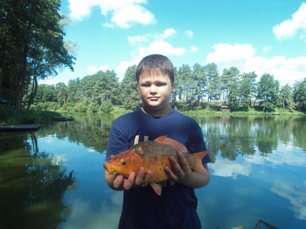 Музичі з panoramio.com - Музичі