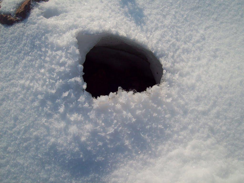 Нововолинськ з panoramio.com - Нововолинськ