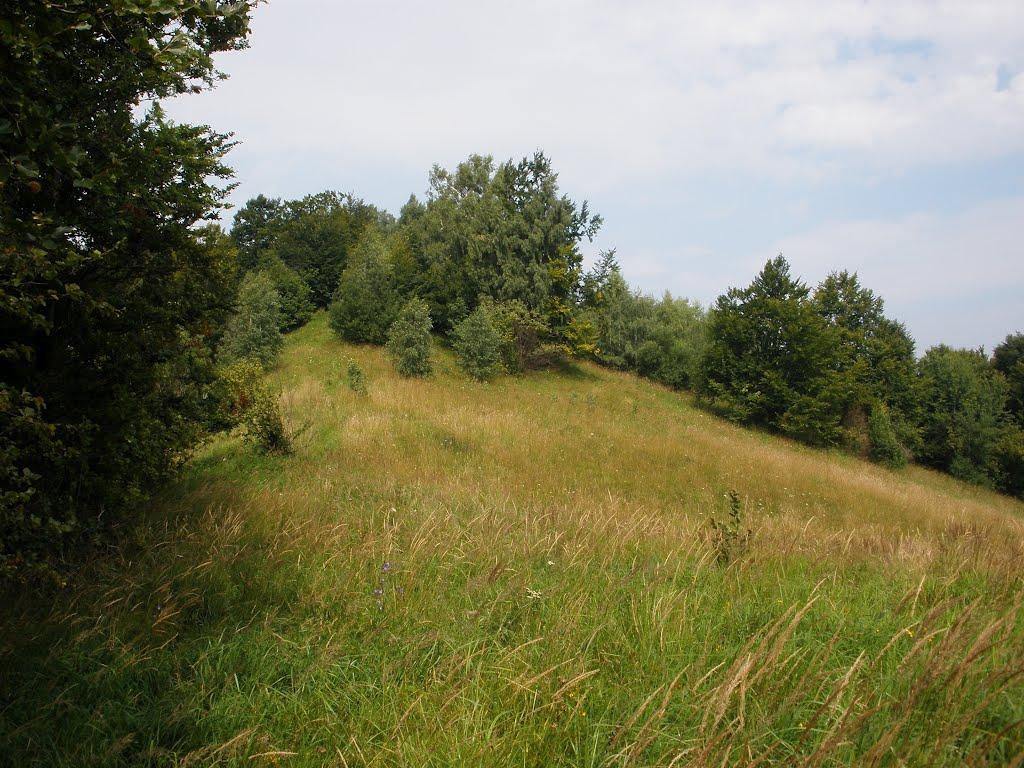 Кострина з panoramio.com - Кострина