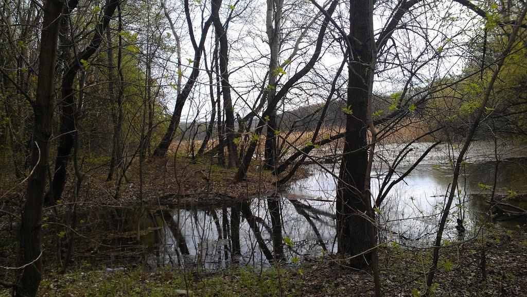 Весела Гора з panoramio.com - Весела Гора