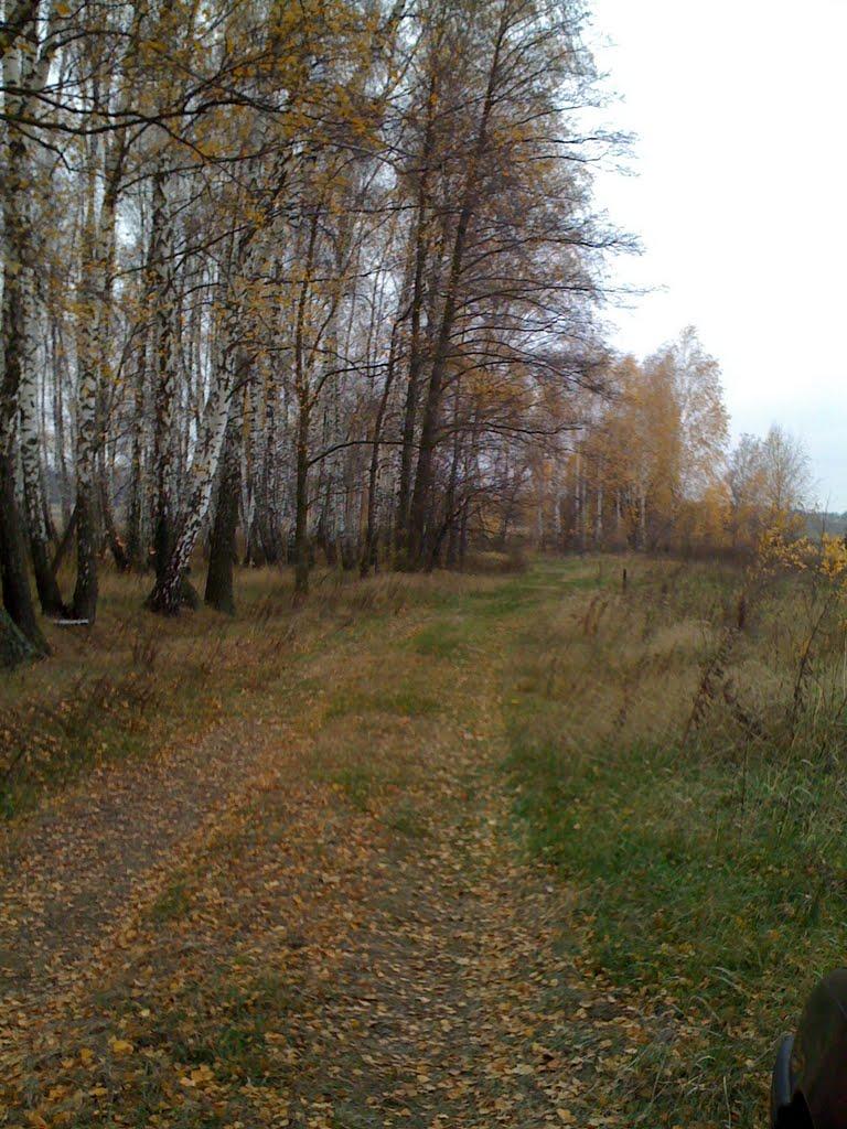 Озера з panoramio.com - Озера