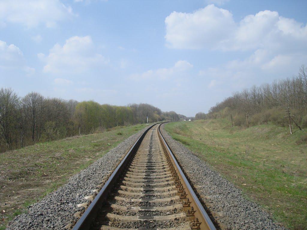 Великі Юначки з panoramio.com - Великі Юначки