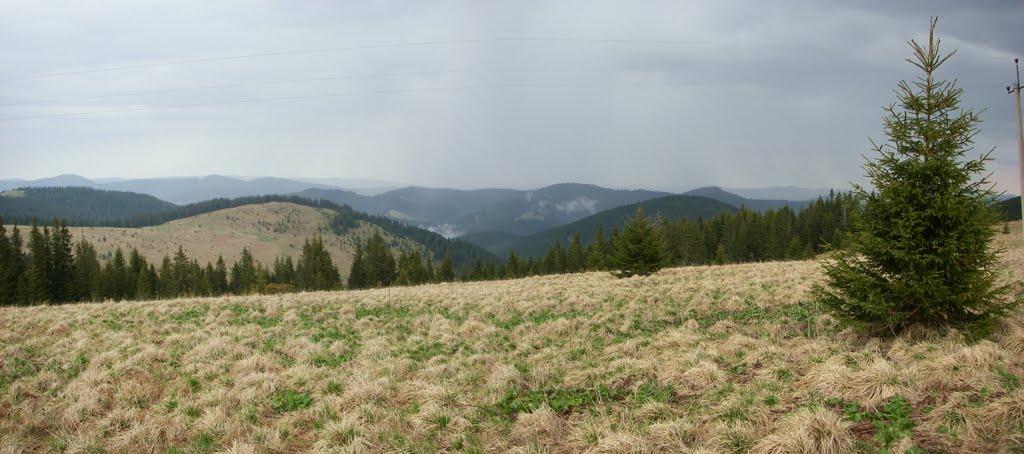 Сарата з panoramio.com - Сарата