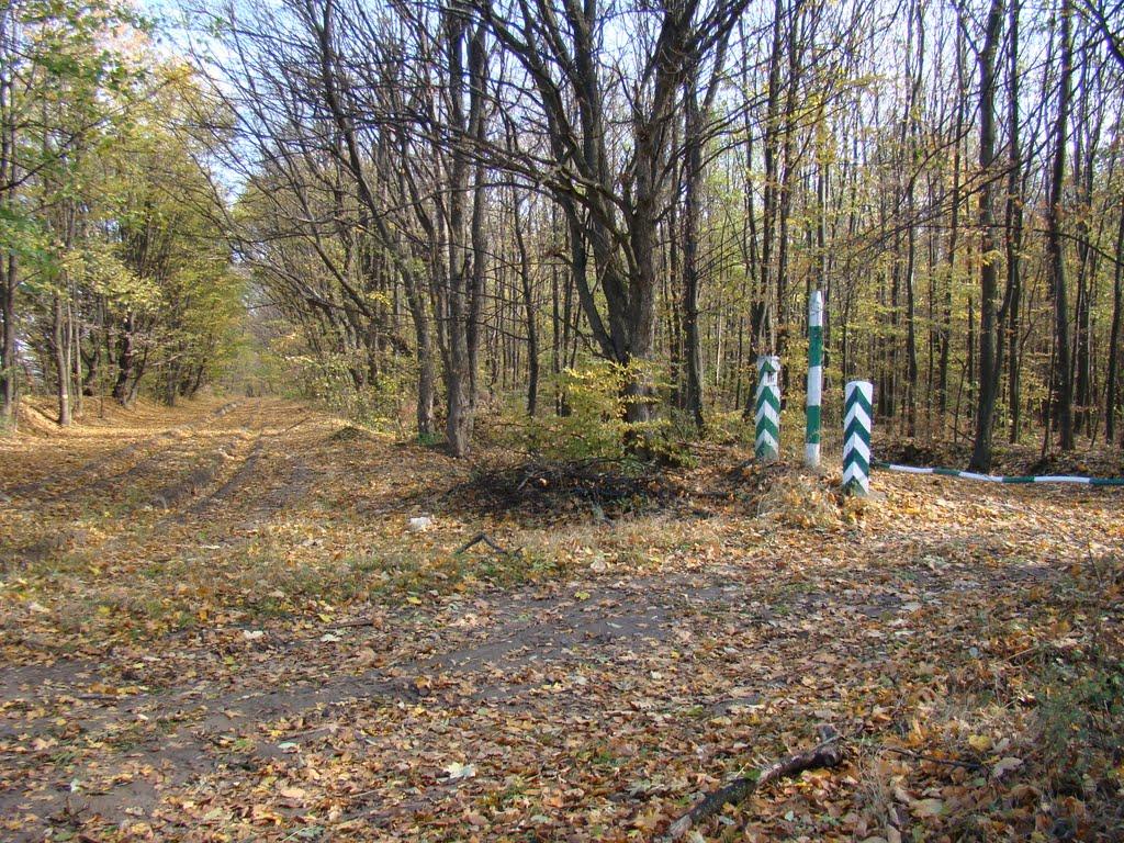 Володарка з panoramio.com - Володарка