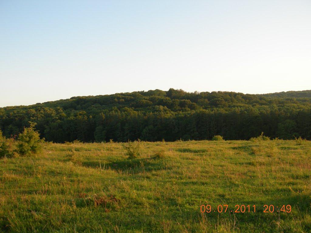 Іванківці з panoramio.com - Ivankivtsi