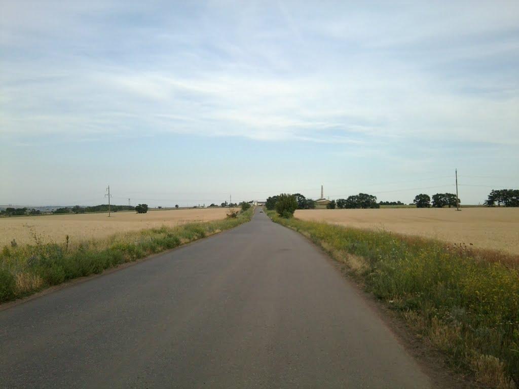 Світле з panoramio.com - Светлое