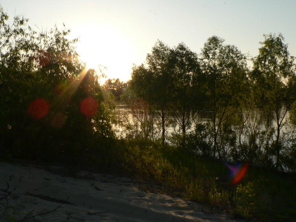Вища Дубечня з panoramio.com - Высшая Дубечня