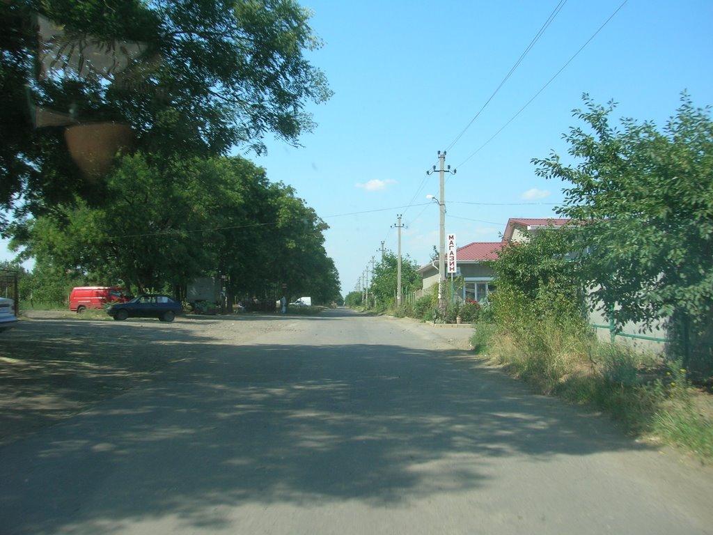 Світле з panoramio.com - Светлое