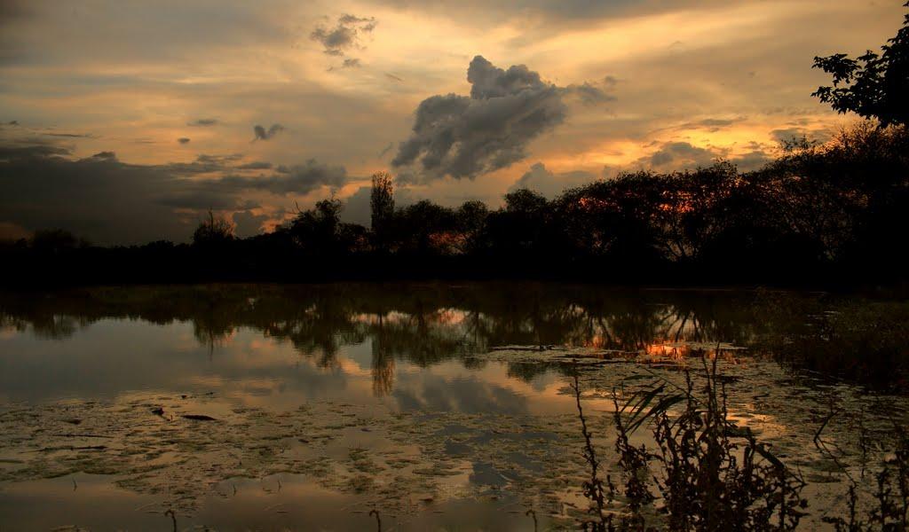 Брянка з panoramio.com (ч.2) - Брянка