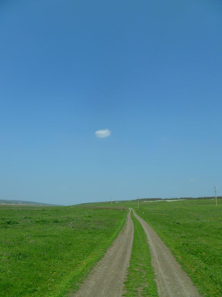 Новосвітівка з panoramio.com - Новосвітівка