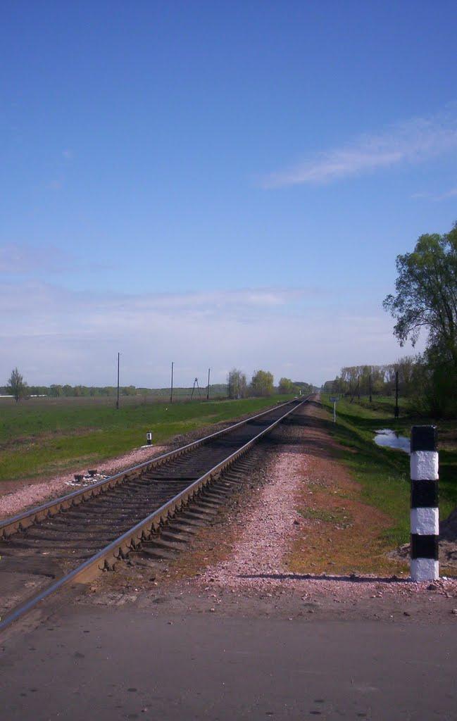 Максимівка з panoramio.com - Максимівка