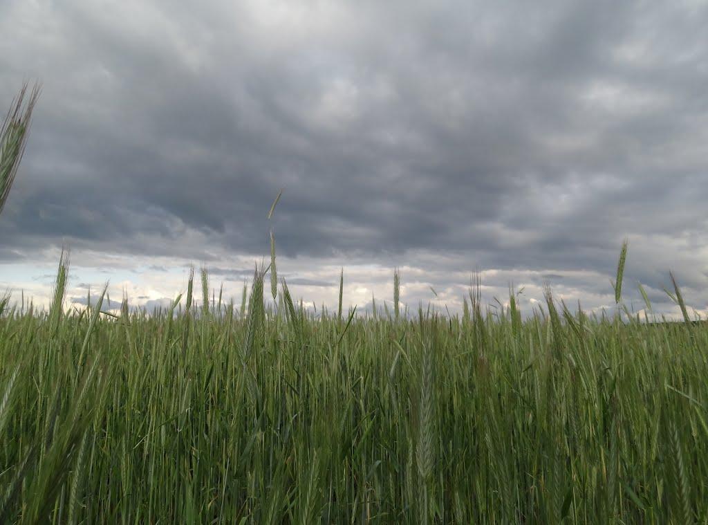 Іванівка з panoramio.com - Ивановка