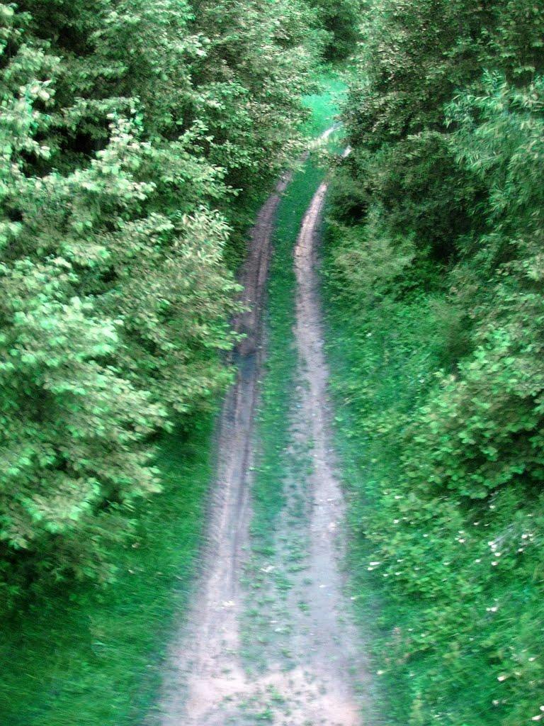 Старі Богородчани з panoramio.com - Старі Богородчани