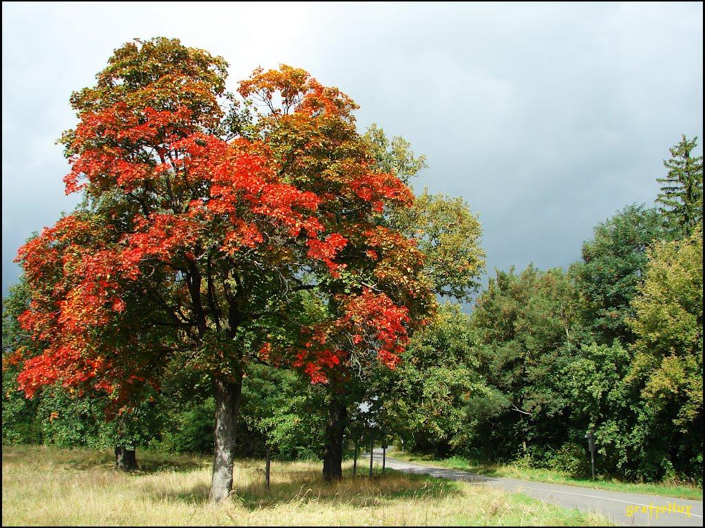 Попільня з panoramio.com - Попільня