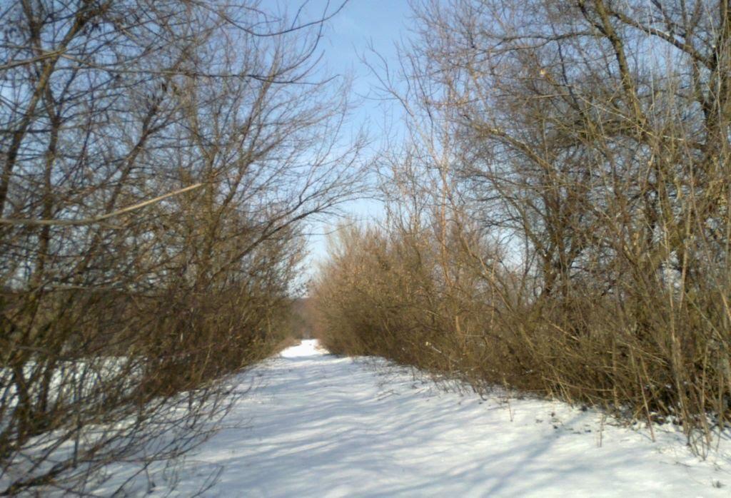 Зайцеве з panoramio.com - Зайцеве