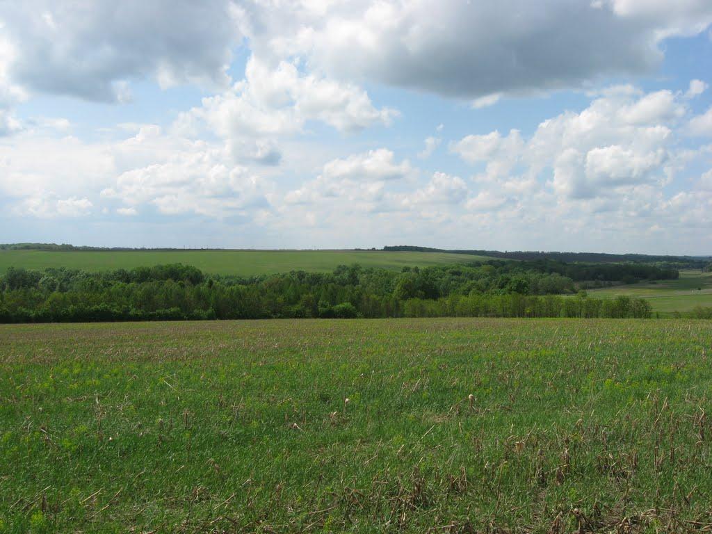 Лікарівщина з panoramio.com - Likarivschyna