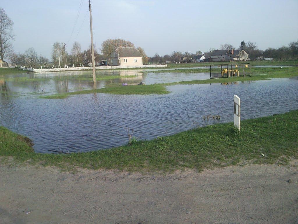 Борохів з panoramio.com - Борохів