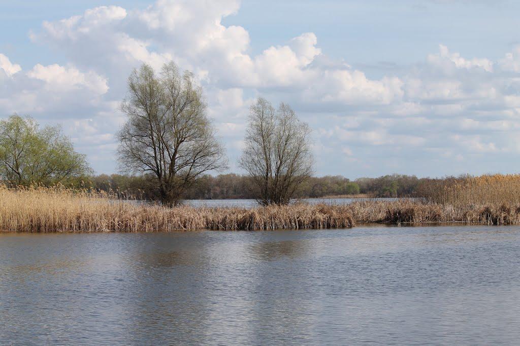 Канівське з panoramio.com - Каневское