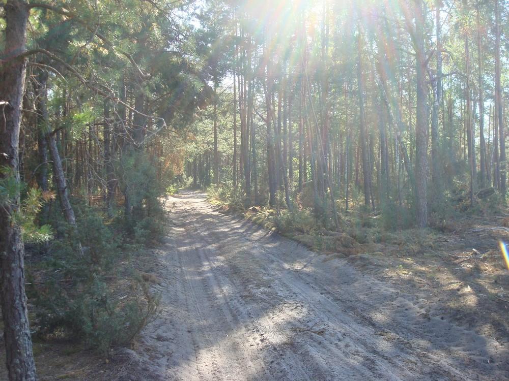 Бондарня з panoramio.com - Бондарня