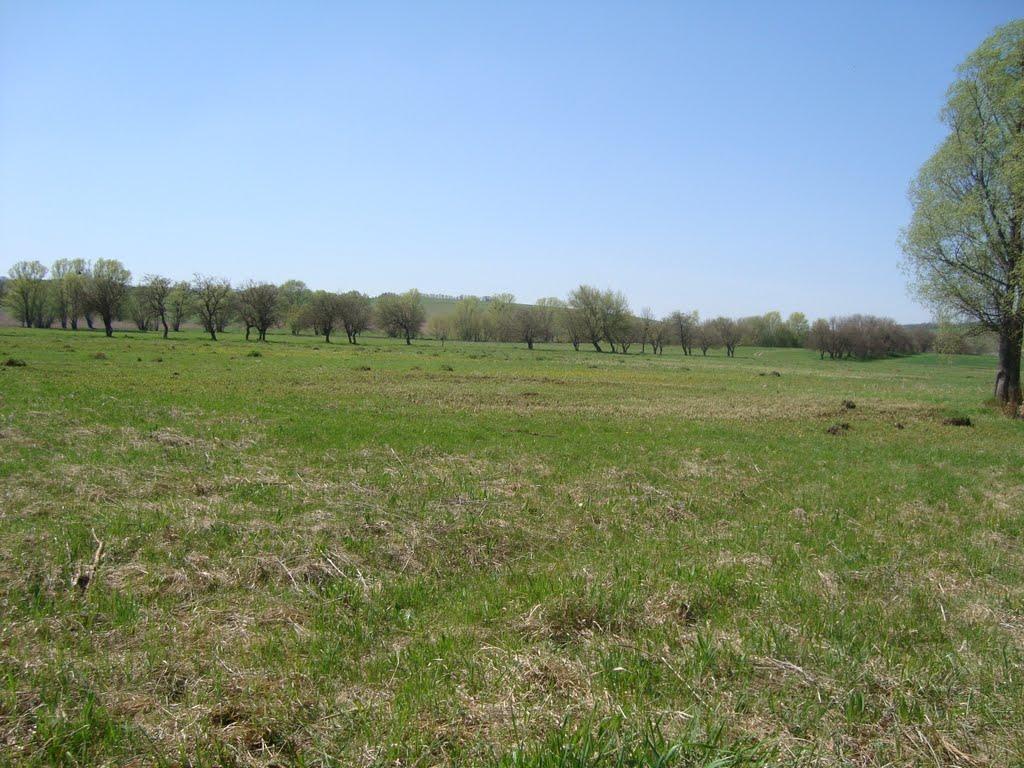 Заріччя з panoramio.com - Заріччя