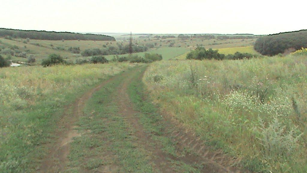 Куземівка з panoramio.com - Куземівка