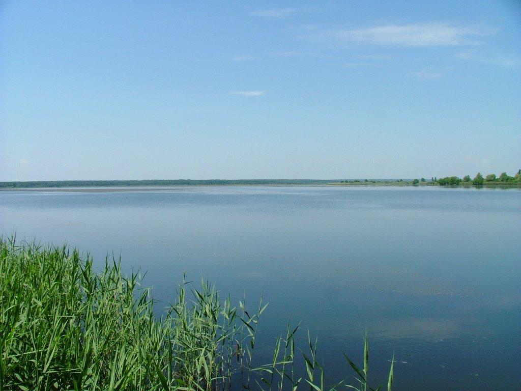 Микулинці з panoramio.com - Микулинці