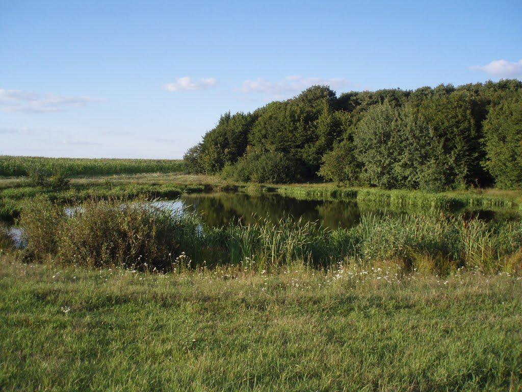 Спасів з panoramio.com - Спасів