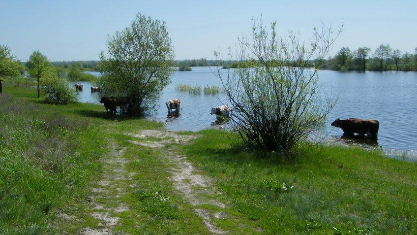 Слабин з panoramio.com - Slabyn