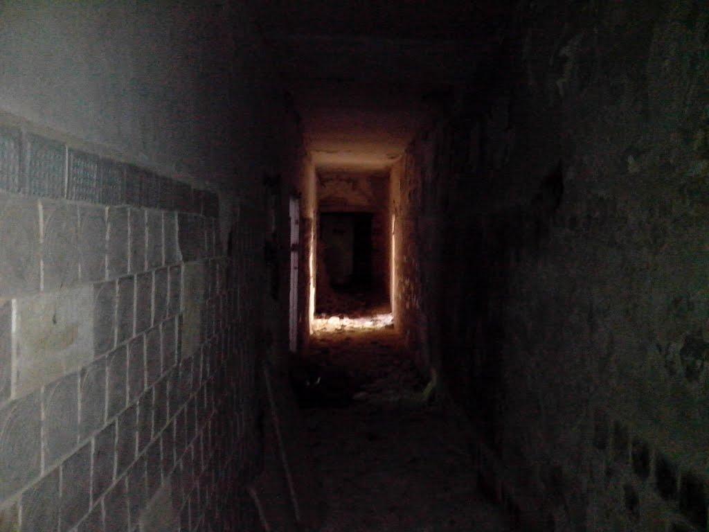 Пугачівка з panoramio.com - Пугачівка