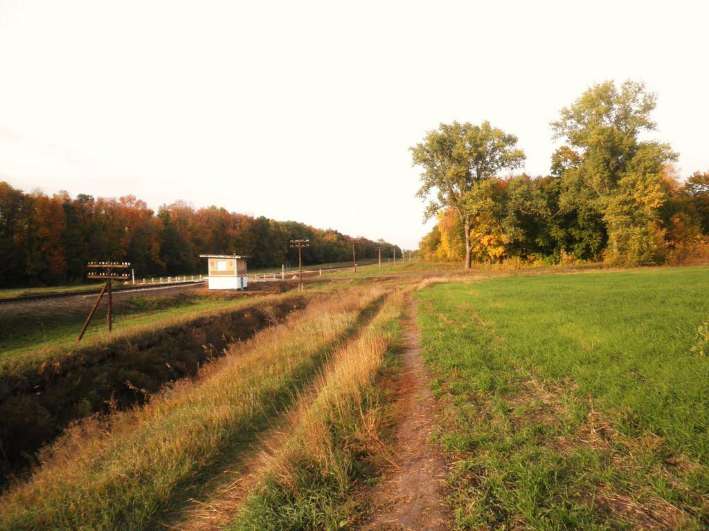 Сасинівка з panoramio.com - Сасинівка
