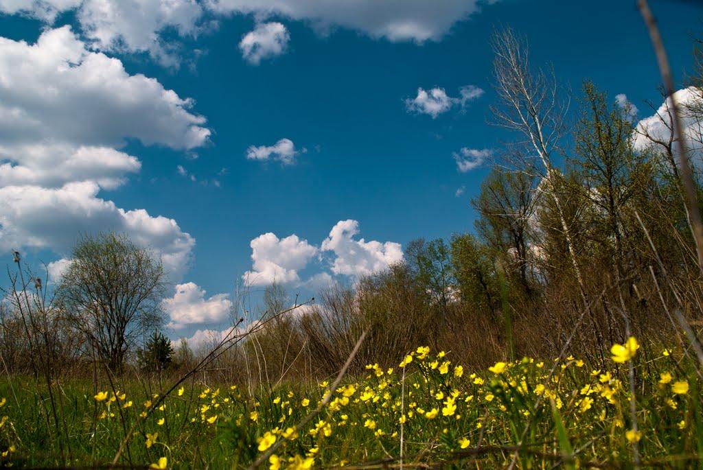 Потоки з panoramio.com - Потоки