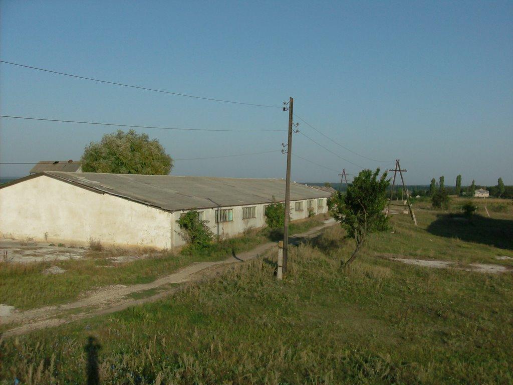 Серебрія з panoramio.com - Серебрия