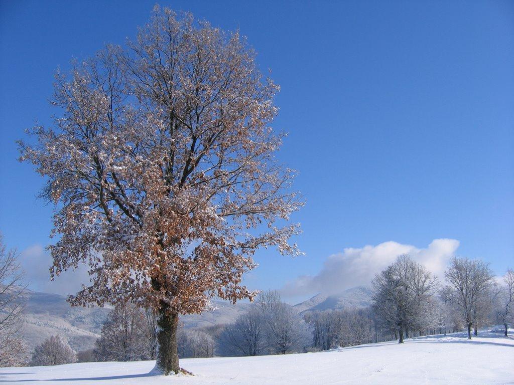 Хмелів з panoramio.com - Хмелев