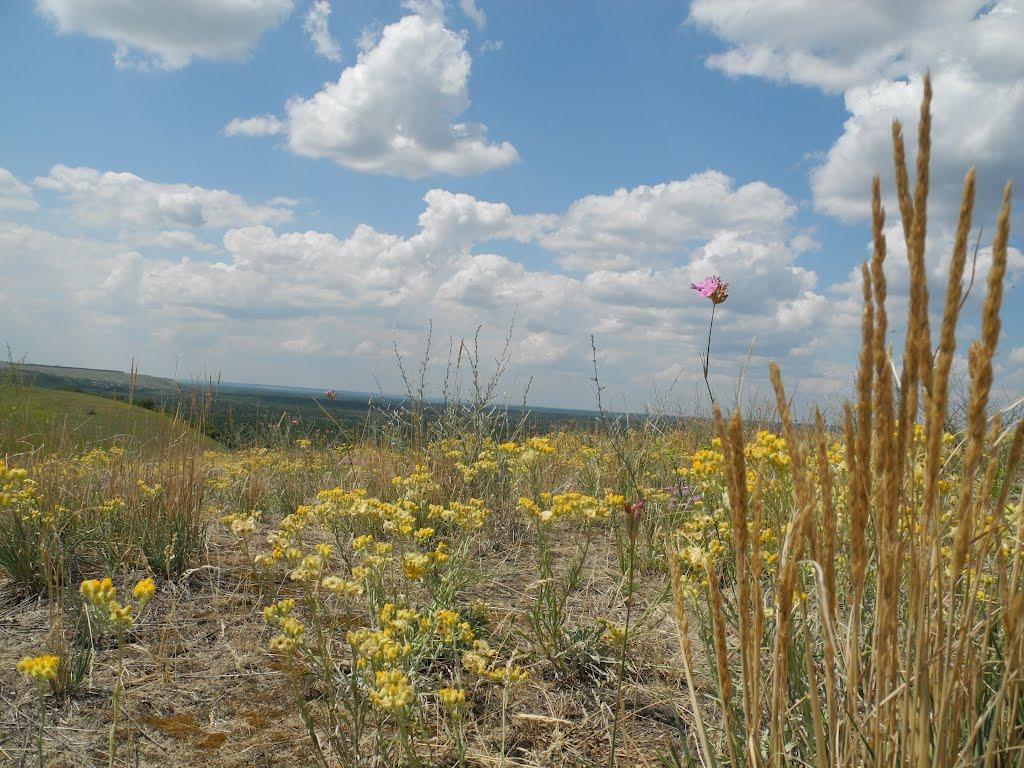 Кружилівка з panoramio.com - Кружиловка