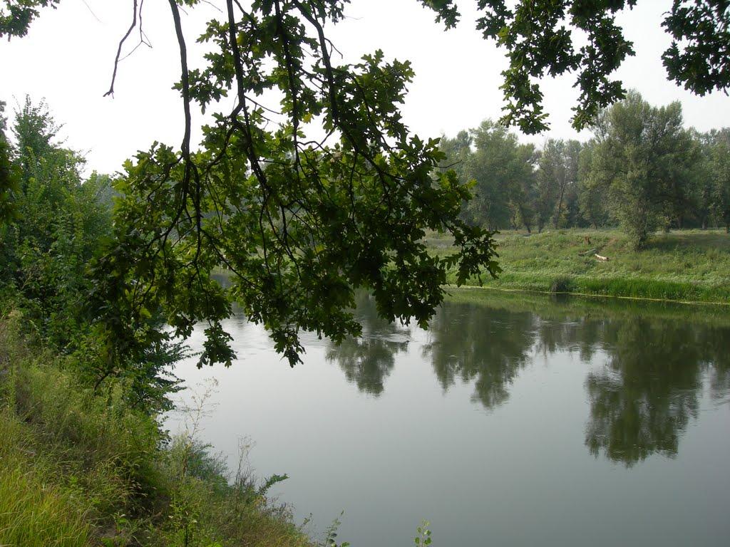 Привілля з panoramio.com - Приволье