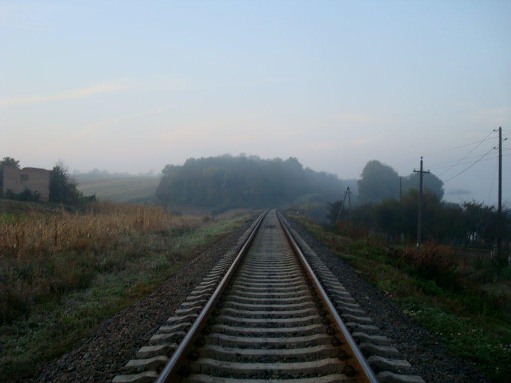 Городок з panoramio.com - Городок