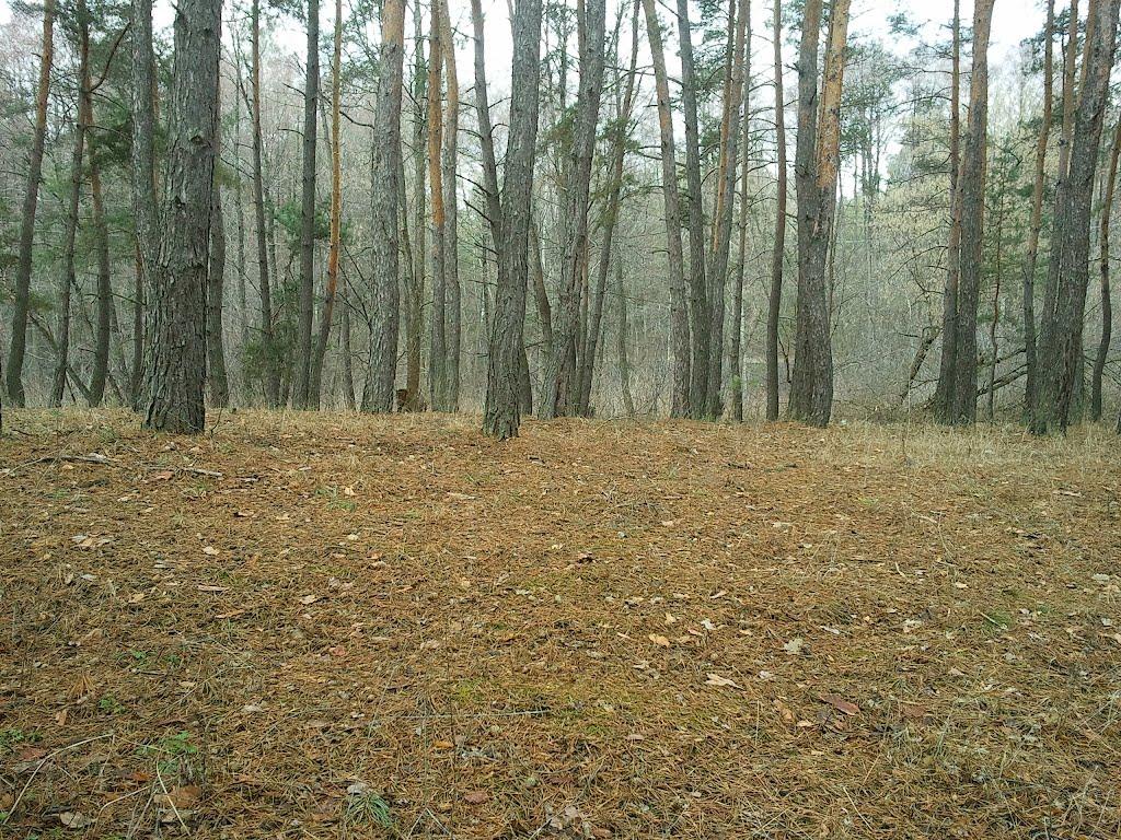 Тросне з panoramio.com - Тростное