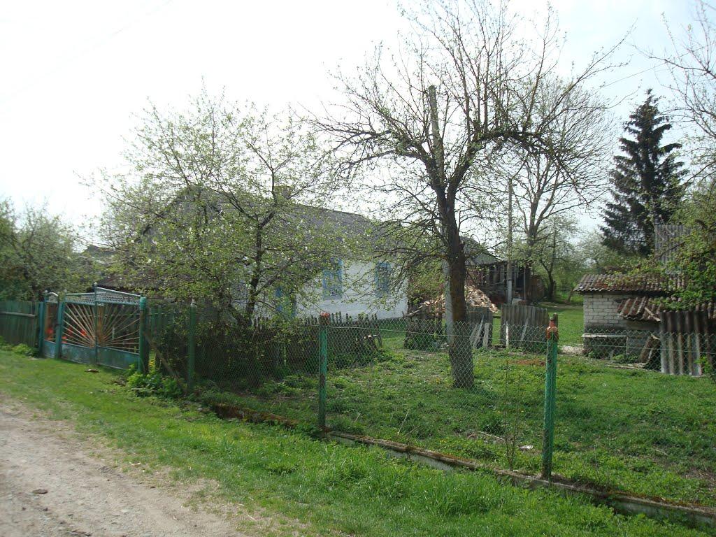 Дроздні з panoramio.com - Дроздни