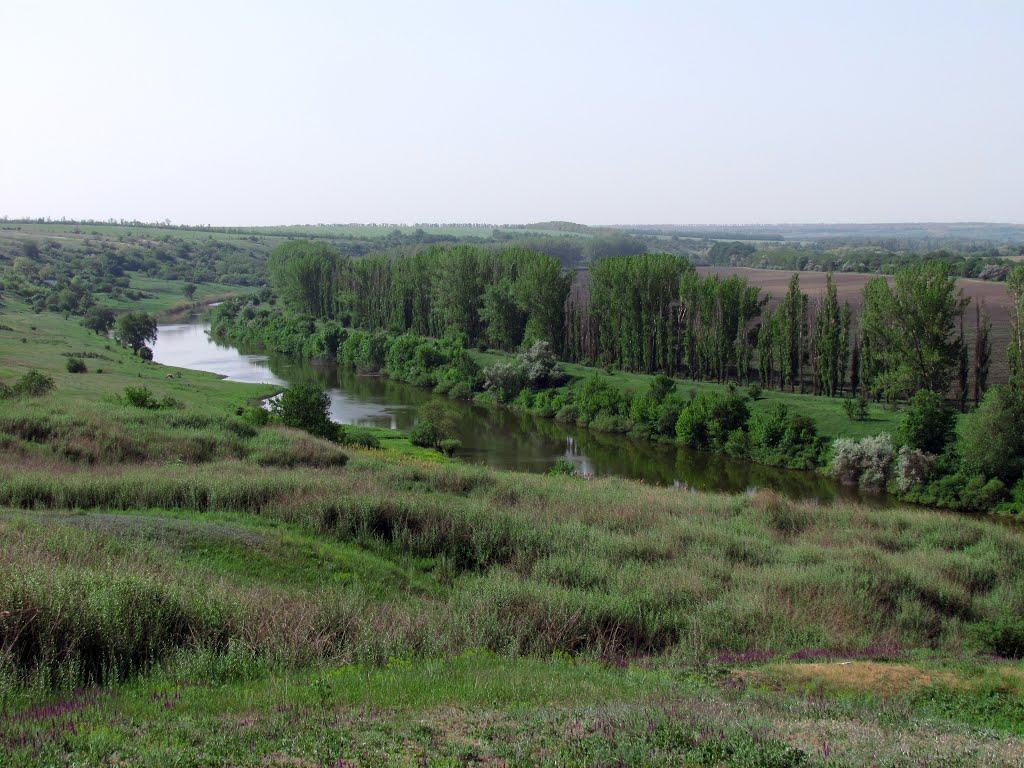 Новокурське з panoramio.com - Новокурське