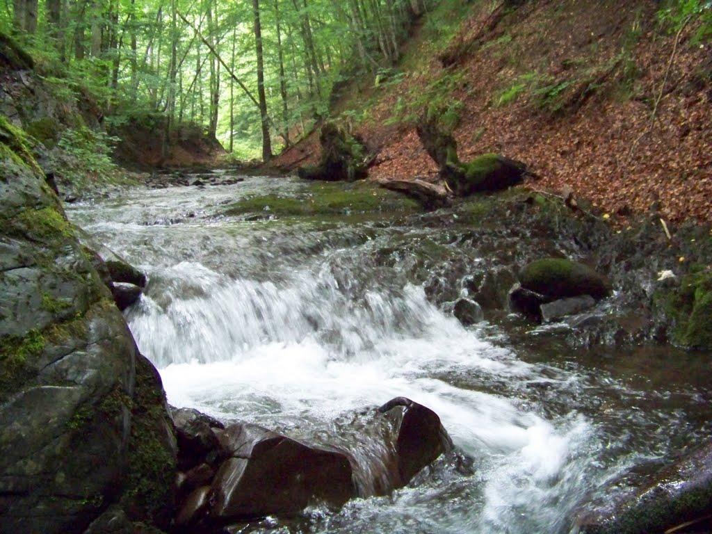 Тур'я Поляна з panoramio.com - Турья Поляна