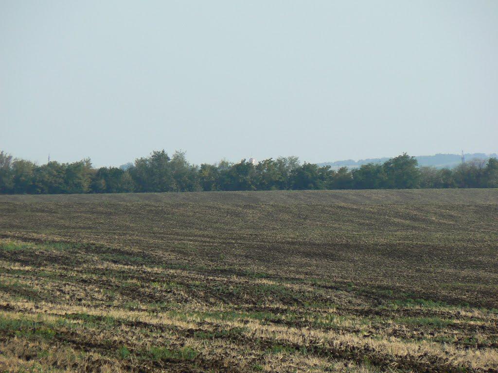 Новоукраїнка з panoramio.com - Новоукраїнка
