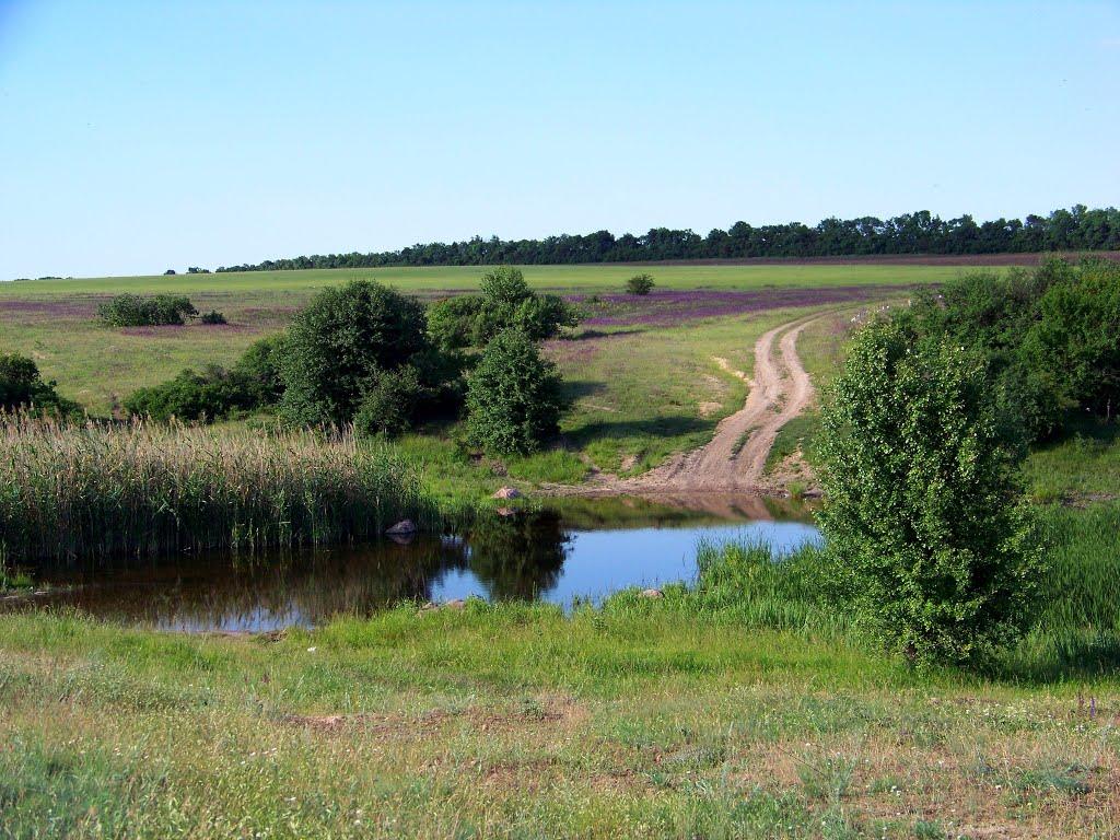 Гурівка з panoramio.com - Гуровка